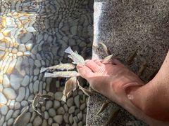 -明谷行馆·温泉