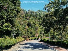 -火炉山森林公园