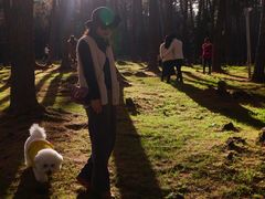 -硗碛藏寨·神木垒景区