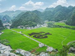 -万峰林风景区