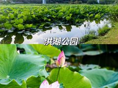 -华侨城湿地公园