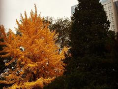-辽宁大学(崇山校区)