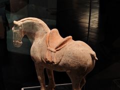 -隋唐大运河文化博物馆