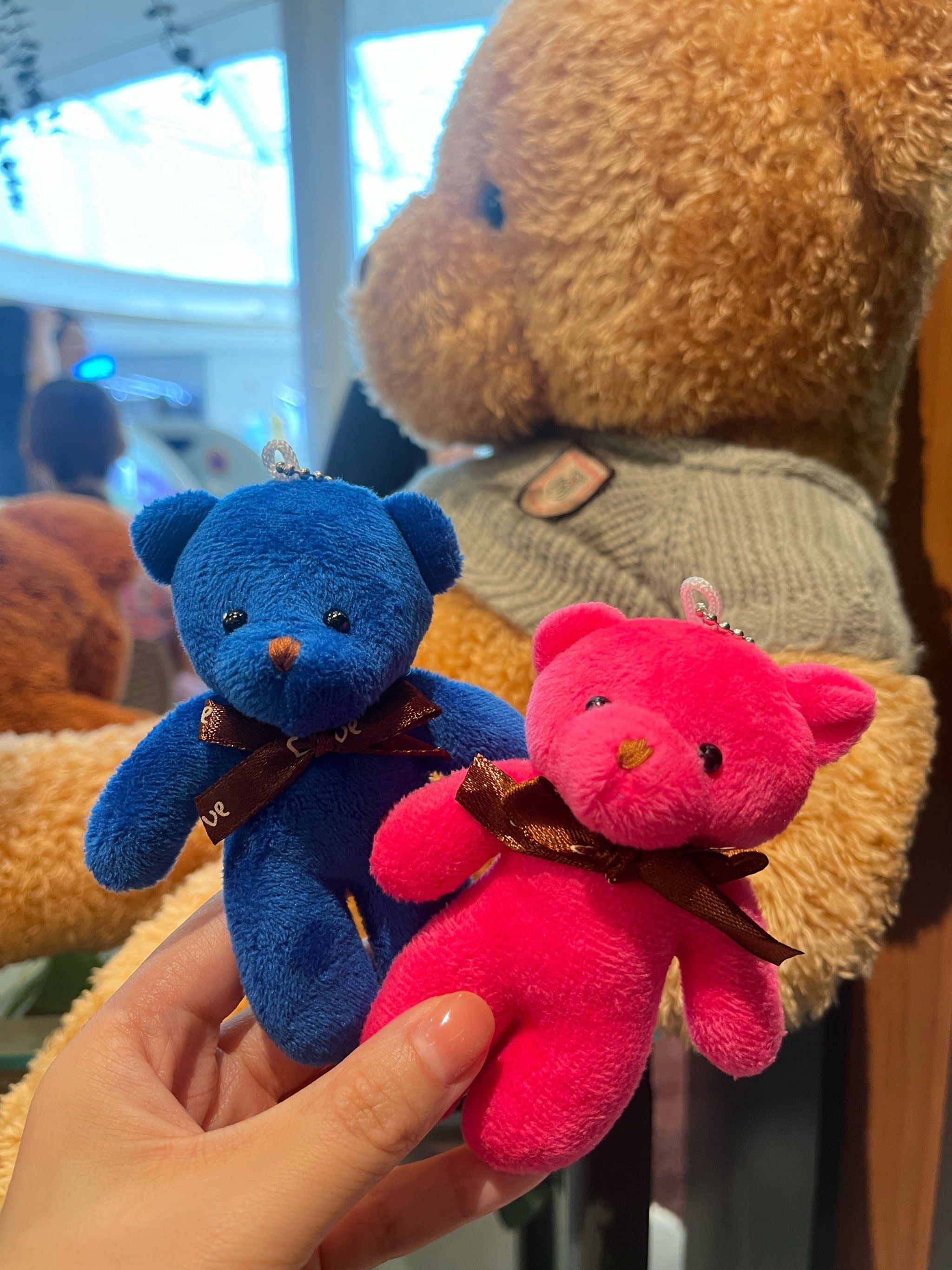 小熊玩偶治愈时光