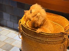 -EAU CAFE(永康路店)