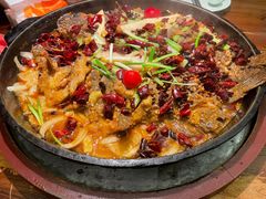 -老板恋上鱼(荣盛广场店)