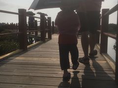 -北海金海湾红树林生态旅游区