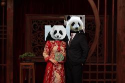 -绿皮火车照相馆 婚纱照旅拍(厦门店)