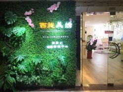 -西施无菌半永久纹绣眉眼影唇轻增发纹发际线