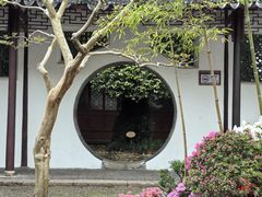 -上海醉白池公园