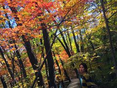 -丹东天桥沟景区