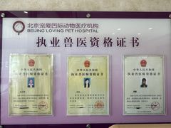 -宠爱国际动物医院· 猫科· 外科·中兽医(长白店)