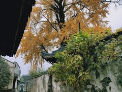 -惠山古镇·寄畅园