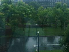 -上海国际旅行卫生保健中心(浦东分中心)