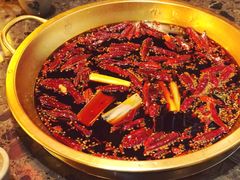 -小龙坎火锅(总店)