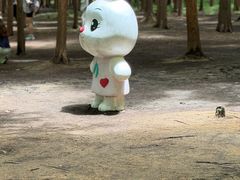 -日照海滨国家森林公园