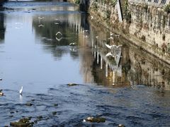 -杨柳河(地铁站)