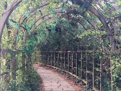 -南沙蒲洲花园