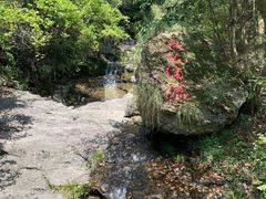 -大慈岩风景区