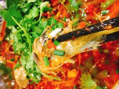 -院8里·少城记忆老川菜(宽窄巷子店)