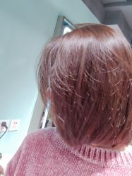 -Will+ Hair Studio