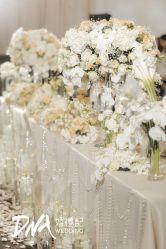 -DNA Wedding 婚礼记(上海店)