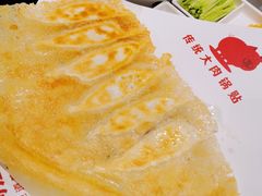阿庄虾锅贴-阿庄新豫菜(通泰路店)