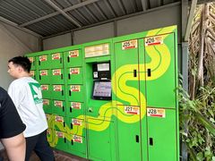 -圣淘沙天际线斜坡滑车