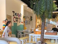 -藏猫猫咖啡主题馆(中央大道店)
