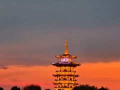 -洋湖国家湿地公园