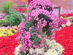 -西北湖绿化广场