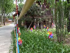 -南宫五洲植物乐园