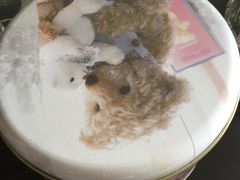 4MIX大盒-珍妮曲奇聪明小熊(尖沙咀店)