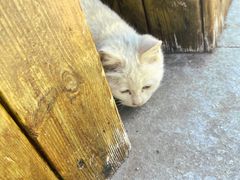 -窦店服务区-停车场