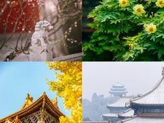 -故宫博物院(故宫)