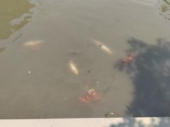 -四川广播电视台(世纪城路店)