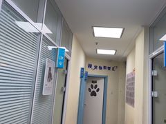 -全心全意连锁动物医院·微创中心·内科急重症·心脏专科(丰管路店)