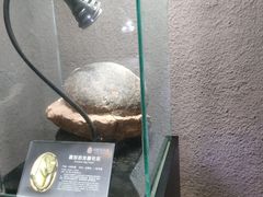 -中华赏石园