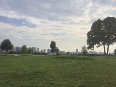 -汉长安城未央宫国家考古遗址公园