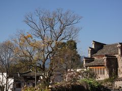 -塔川景区