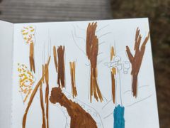 -帽儿山国家森林公园