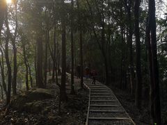 -南山植物园