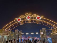 -武汉知音号