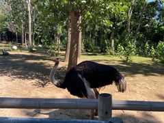 -大连森林动物园