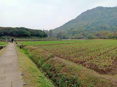 -八卦田遗址公园