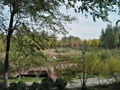 -大兴滨河森林公园