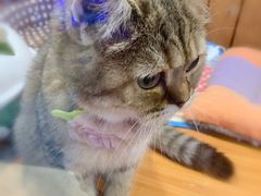 -龟与熊猫宠物公园(南坪店)