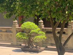 -南华禅寺
