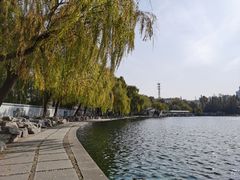 -百脉泉景区