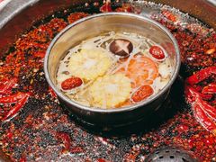 -晓秧锅鲜货火锅·重庆老字号(西外店)